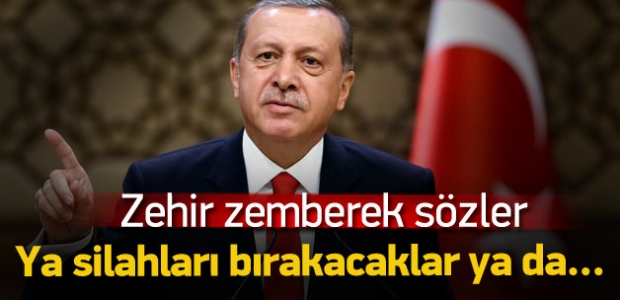 Erdoğan: Tek çözüm örgütün silahları bırakması