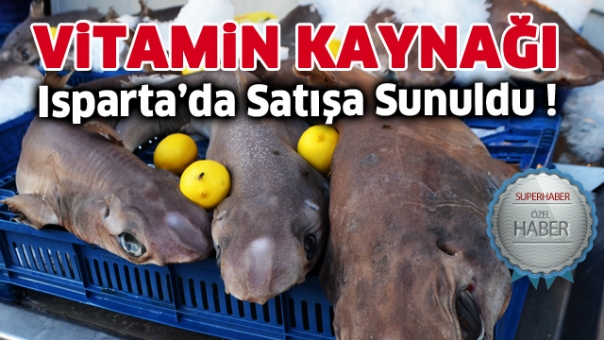Vitamin Kaynağı Köpek balıkları Isparta'da Satışa Sunuldu
