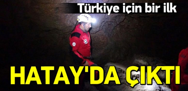 Türkiye'nin ilk ''lav tüpü mağarası'' bulundu