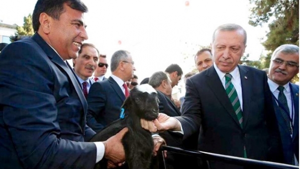 DSYB'den Cumhurbaşkanı Erdoğan'a Oğlak Hediyesi
