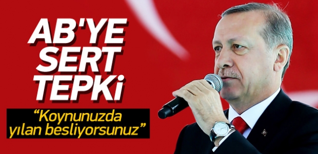 Erdoğan: Koynunuzda yılan besliyorsunuz