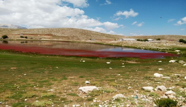Alanya’da kırmızıya dönen göl şaşırttı 