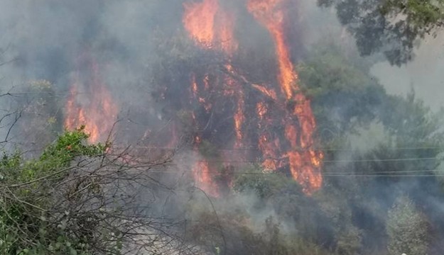 Antalya’da dünyaca ünlü şelalenin yakınında çıkan orman yangını söndürüldü 