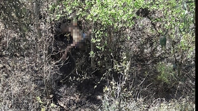 Antalya'da bahçesindeki çalıları yakan kişi büyüyen alevlerin ortasında kalarak öldü