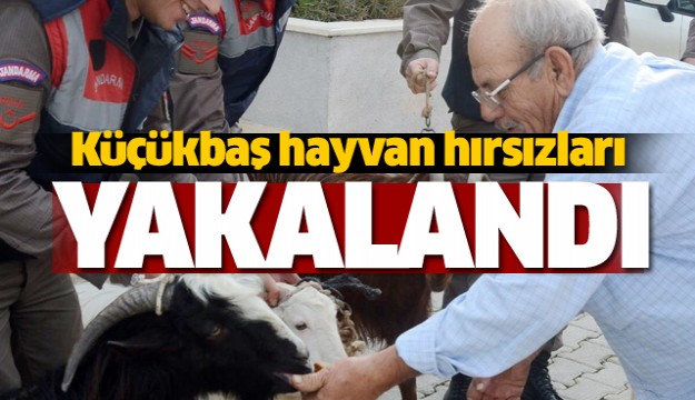 Antalya'da küçükbaş hayvan hırsızları yakalandı
