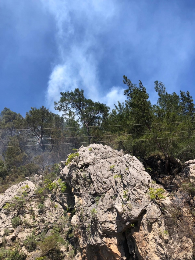 ​Antalya'da makilik alanda yangın