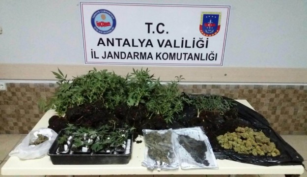 Antalya'da uyuşturucu operasyonu   