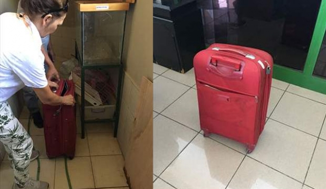 Antalya'da valizin içinde boa yılanı ele geçirildi