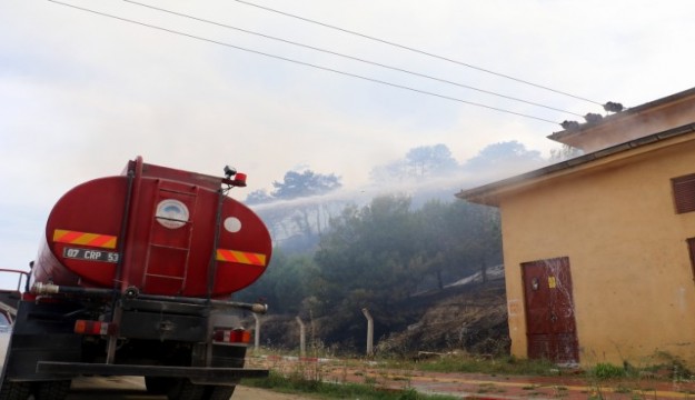Antalya'daki orman yangınında 2 hektar kül oldu   