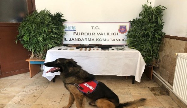 ​Burdur’da jandarmadan dedektör köpekli uyuşturucu operasyonu
