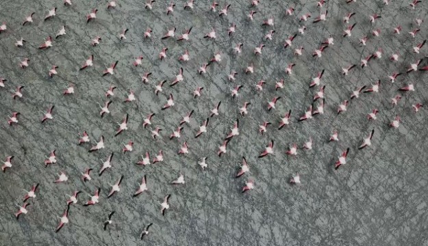 Burdur’un Yarışlı Gölü, 141 tür kuş türüne ev sahipli yapıyor