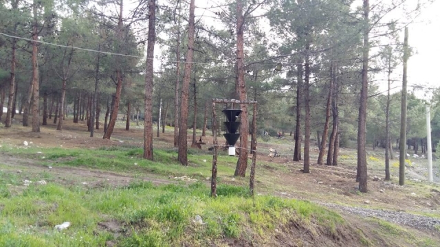 Burdur'da ormanlara predatör böcek bırakıldı