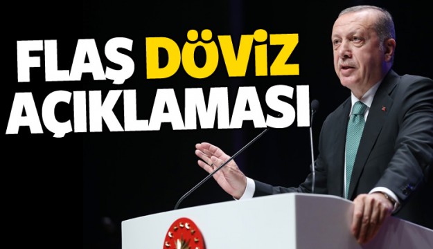 Cumhurbaşkanı Erdoğan'dan döviz açıklaması
