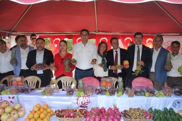 Gazipaşa'da Çekirdeksiz Nar ve Tropikal Meyve Festivali