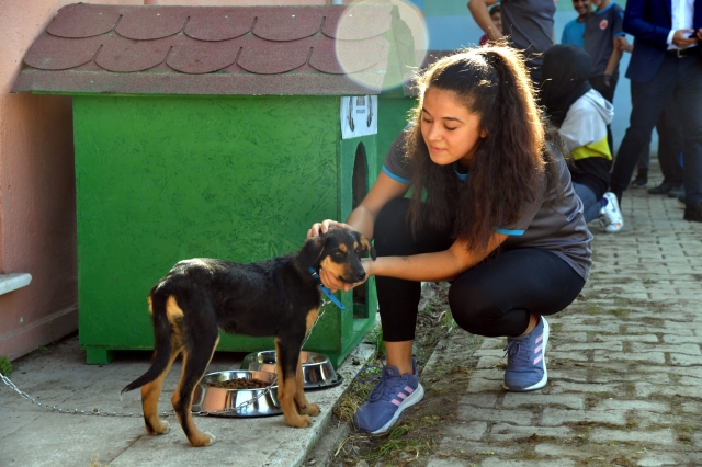 Isparta Belediyesi okullarda köpek sahiplendirme çalışmalarına başladı