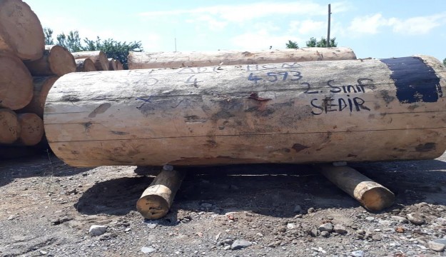 Isparta Orman Bölge Müdürlüğü İşletmelerinde Yapılan Satışlar Büyük İlgi Görüyor