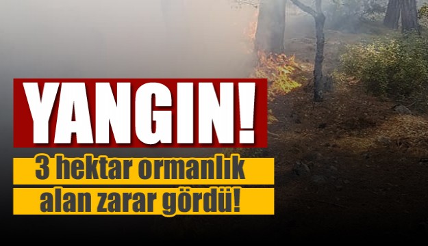 Isparta'da orman yangını! 3 hektar ormanlık alan zarar gördü