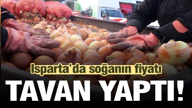 Isparta'da soğanın fiyatı yüzde 100 arttı