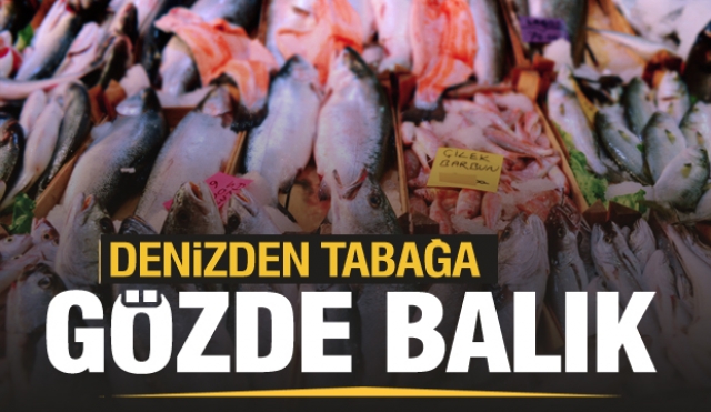 Isparta'nın Balıkçı Markası Gözde Balık'tan en taze deniz ürünleri