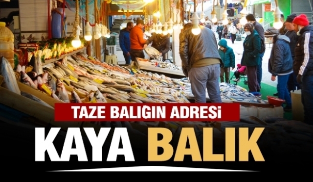 Kaya Balık Tezgahlarında Hergün Taptaze Balıklar