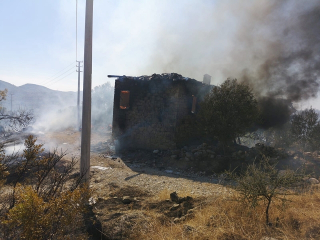 Manavgat'ta 3 hektar tarım arazisi ve atıl durumdaki bir ev yandı  