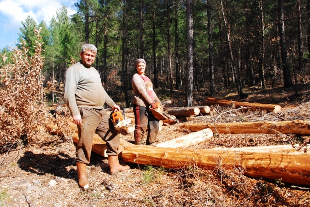 Orman işçisi ailelerin atalarından kalma zorlu hayat mücadelesi 