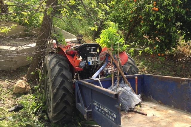 Serik'te traktörle ağaç arasında sıkışan sürücü yaralandı
