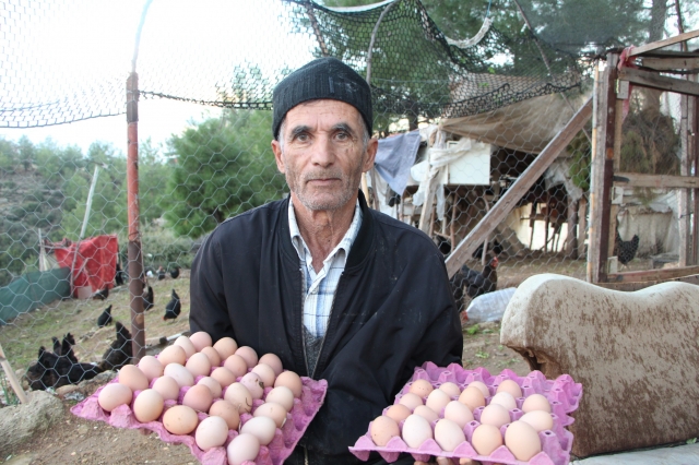 Son maaşı ile çiftlik kurdu, koli koli yumurta topluyor 