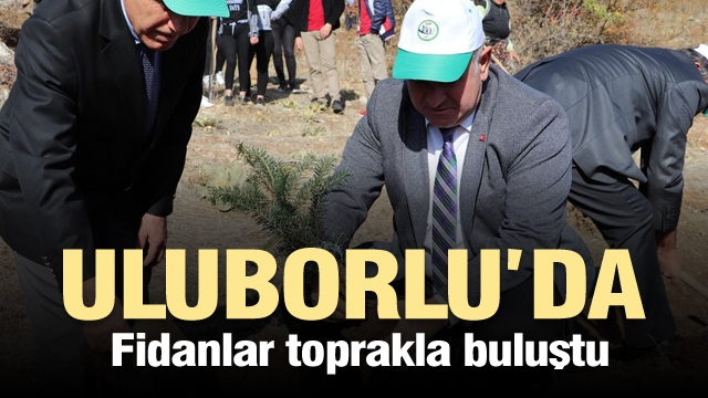 Yüzlerce Fidan Uluborlu'da Toprakla Buluştu