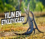 YILIN EN EKİLEYİCİ FOTOĞRAFLARI 2015