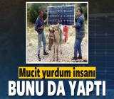 Türklere özgü birbirinden ilginç buluşlar