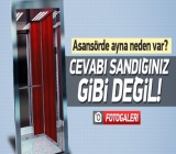 Az bilinen şaşırtıcı gerçekler