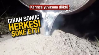 Çıkan sonuç şoke etti!