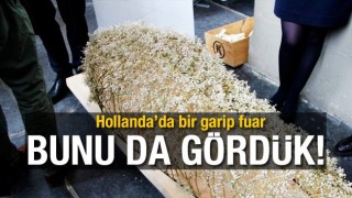 Bunu da Gördük! 