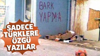 Türkiye'de birbirinden komik ilanlar