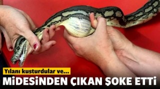 Yılanı kusturdular, midesinden çıkan şoke etti