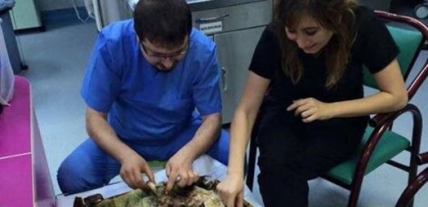 Yoğun bakımda yedikleri kebap pahalıya mal oldu