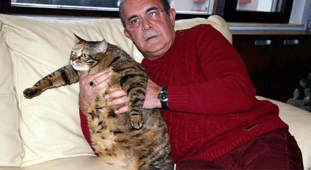12,5 KİLOLUK KEDİ OBEZİTE TEDAVİSİ GÖRÜYOR