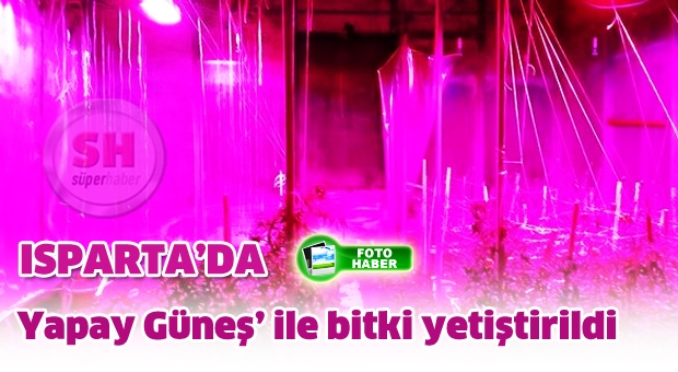 Isparta’da ‘Yapay Güneş’ ile bitki yetiştirildi