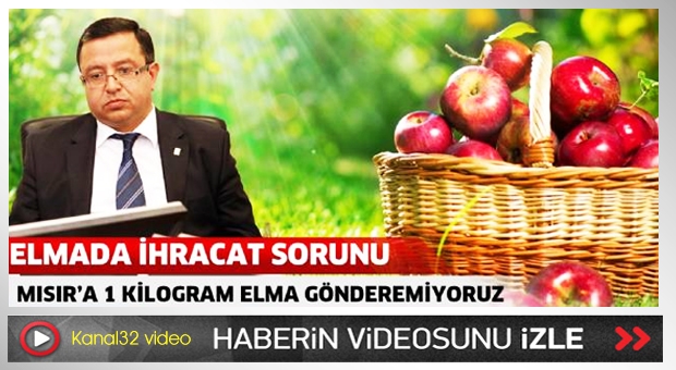 Elmada ihracat sorunu