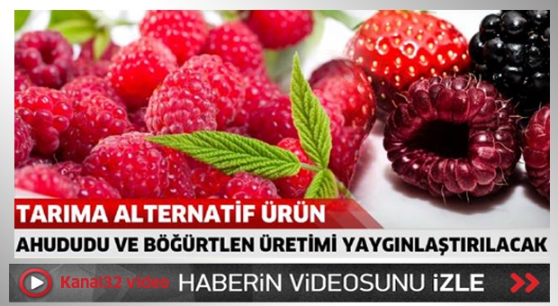 Tarıma alternatif ürün