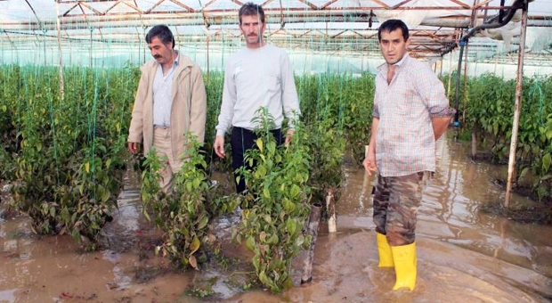 KUMLUCA'DA SERALAR YİNE SULAR ALTINDA KALDI