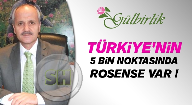 Türkiye’nin 5 bin noktasında Rosense var