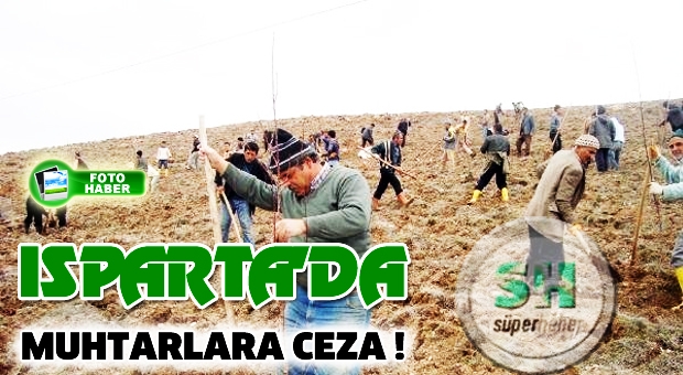 Muhtarlara, 'Su Vermediniz, Ağaçlar Kurudu' Cezası