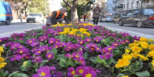 Isparta'sa  Bahara Hazırlık