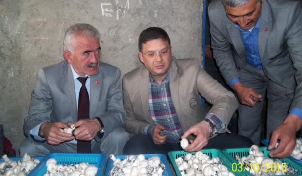 YERİNDE İNCELEDİLER