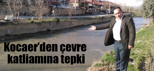 KOCAER’DEN ÇEVRE KATLİAMINA TEPKİ