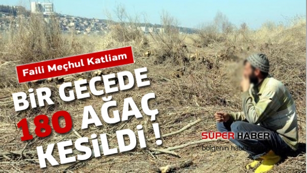  Isparta'da faili meçhul ağaç Katliamı !
