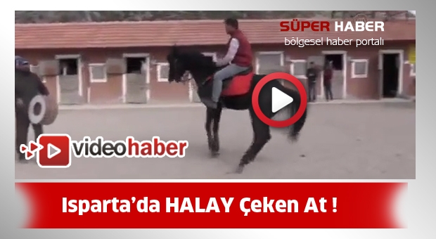 Isparta'da HALAY Çeken At !