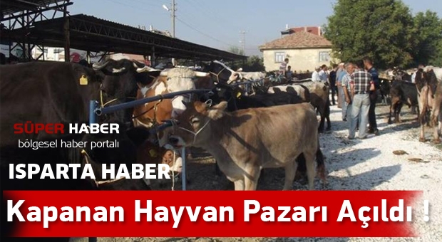Isparta'da Hayvan Pazarı Yeniden Açıldı